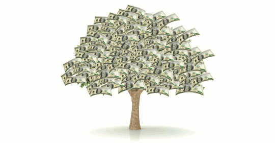 お金が次々となっている木