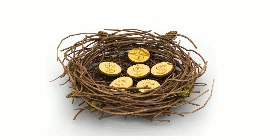 巣の上に置かれたコイン