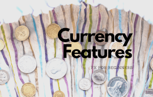 FX初心者が知っておくべき通貨の特徴イメージ
