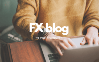 フリーテーマ FX初心者のためのFXブログ