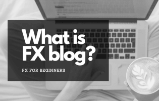 FX初心者のためのFXブログ活用法